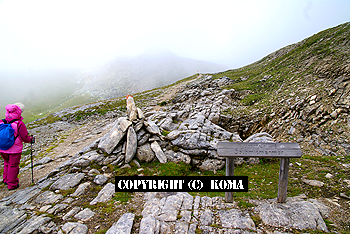Dolomitmarmor（ドロマイト大理石=苦灰岩）の写真