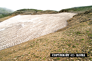 雪渓ミニ氷河の写真