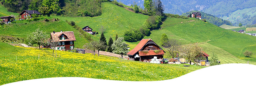 スイスの花図鑑